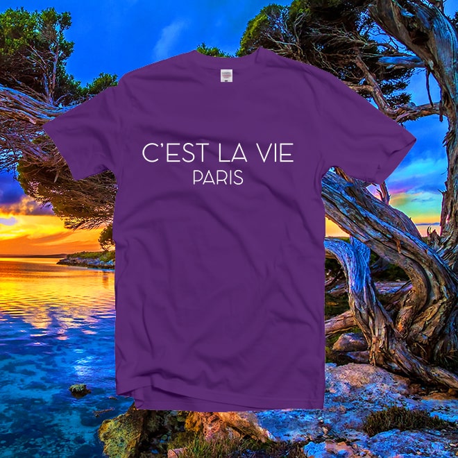 C’est La Vie T-Shirt,French T-Shirt, Motivational T-Shirt,Paris T-Shirt